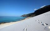 IMG_4756 Dilisha, Socotra